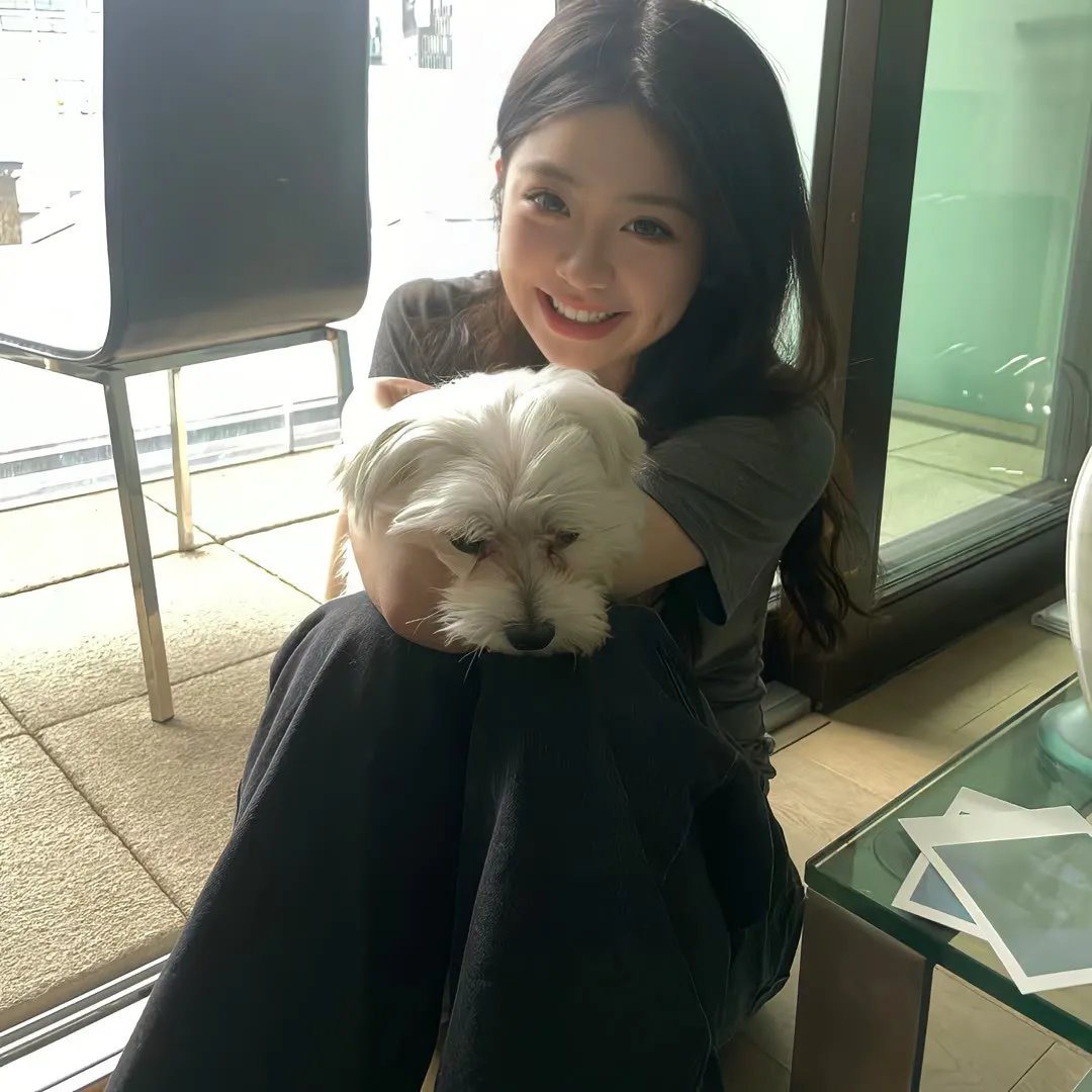 飞吧!